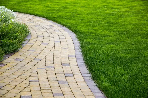 Vialetto ingresso casa curvo, pavimentato con blocchi di pietra chiara e scura, fiancheggiato da prato verde brillante e vegetazione rigogliosa.